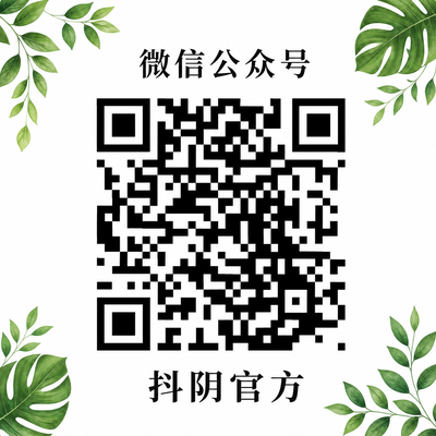抖音风